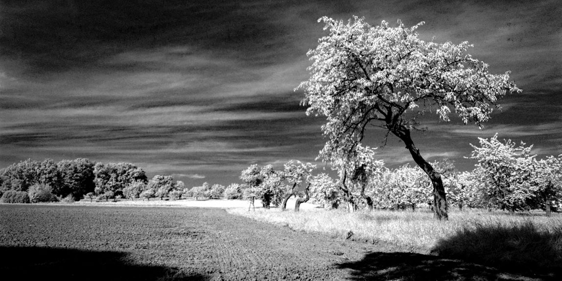 Infrarotfotografie - Das unsichtbare sichtbar machen